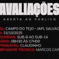 image para ilustrar o artigo