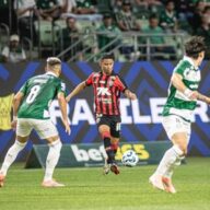 image para ilustrar o artigo