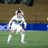 image para ilustrar o artigo