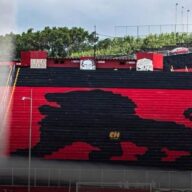 image para ilustrar o artigo