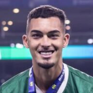 image para ilustrar o artigo