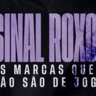 image para ilustrar o artigo