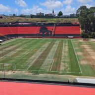 image para ilustrar o artigo