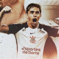 image para ilustrar o artigo