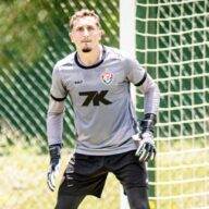 image para ilustrar o artigo