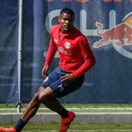 image para ilustrar o artigo