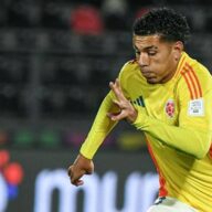 image para ilustrar o artigo