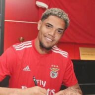 image para ilustrar o artigo