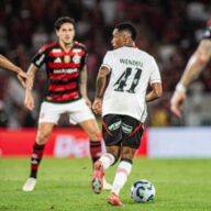 image para ilustrar o artigo