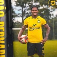 image para ilustrar o artigo