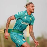 image para ilustrar o artigo