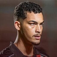 image para ilustrar o artigo