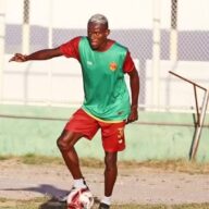 image para ilustrar o artigo