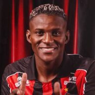 image para ilustrar o artigo