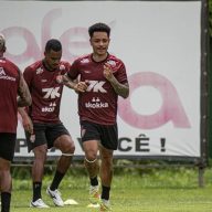 image para ilustrar o artigo