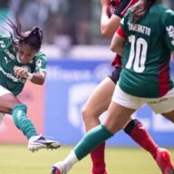 image para ilustrar o artigo