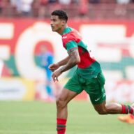 image para ilustrar o artigo