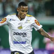 image para ilustrar o artigo