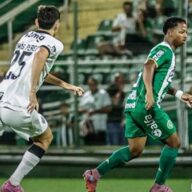 image para ilustrar o artigo