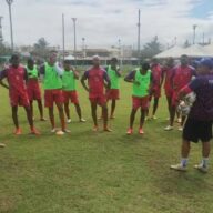 image para ilustrar o artigo